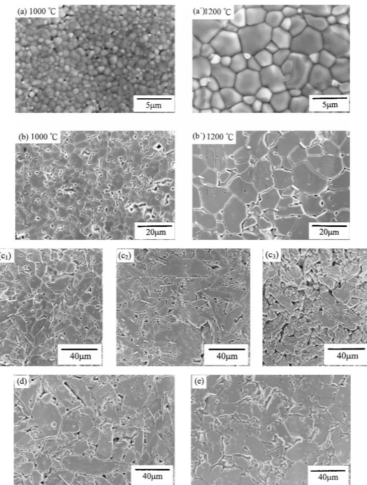 Fig. 4. SEM micrographs of (a and a ⬘) the pure ZnO materials densified via the conventional furnace sintering process at 1000° or 1200°C, respectively, for 60 min; (b and b ⬘) the pure ZnO materials densified via the microwave sintering process at 1000° o