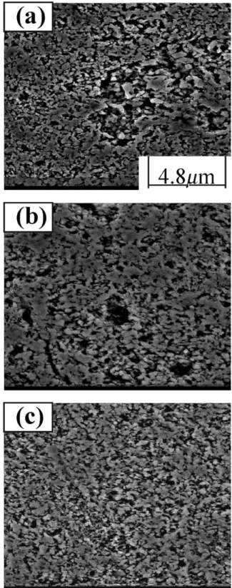 Fig. 1. SEM micrographs of polished and thermal-etched surface for the glass-BRT 114 composite materials containing sol-gel derived glass