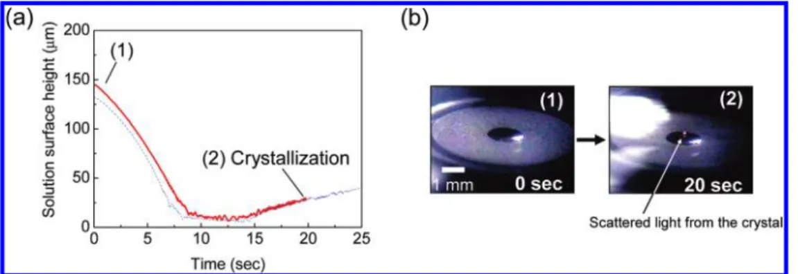 Figure 2. (a) Red line shows the temporal change of the solution surface height upon focusing the laser beam at an air/solution interface