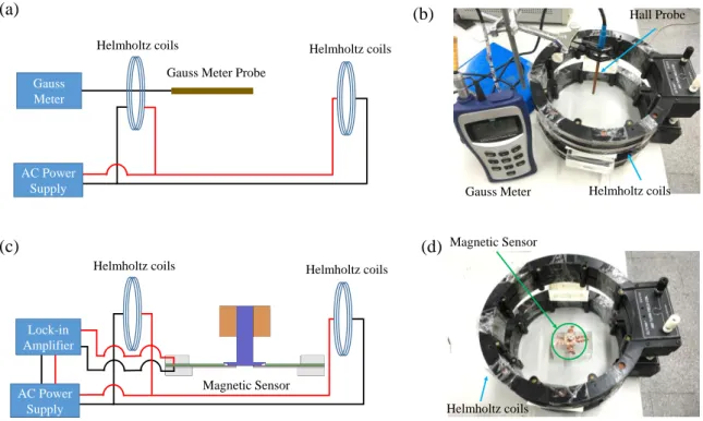 Figure 3. Testing setup of the quantitative test. (a) Illustration and (b) photograph of the Hall probe  placed in the central area of the coils