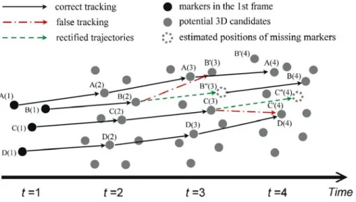 Fig. 11. The rectified motion trajectories. We utilize the temporal coherence of a marker’s motion and the spatial coherence between neighbor markers to detect and rectify false tracking
