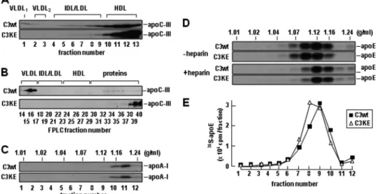 FIGURE 3. Hepatic VLDL 1 production was impaired in apoc3-null mice expressing apoC3KE protein