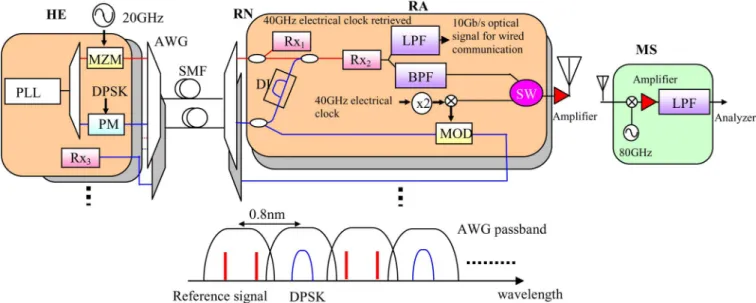 Fig. 3. Proposed ROF system using reference signal distribution. Inset: schematic of optical spectra of optical clock and DPSK signals.