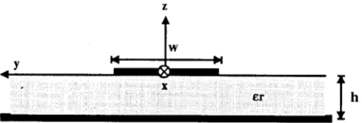 Fig. 1. Geometric configuration of the microstrip line.