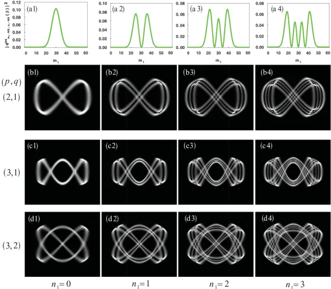 FIG. 1. (Color online) (a1)–(a4) Numerical simulations of Wigner d coefficient |d m N/ 1 −N/2,n 2 1 −N/2 (β)| 2 with respect to m