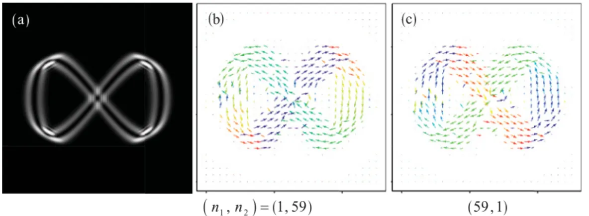 Figure 6 further displays the phase structures for the case in Figs. 4(a) and 4(e). The enlarged figures of the box region in Figs