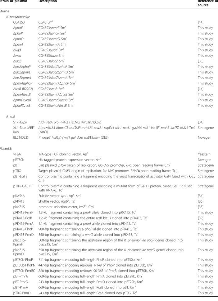 Table 1 Bacterial strains and plasmids used in this study