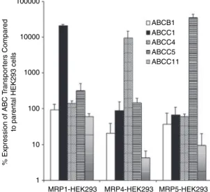 Fig. 1. Characterization of expression of selected ABC transporters in HEK293 transfectants