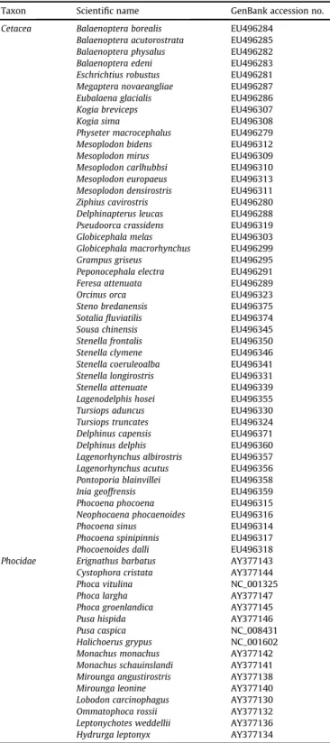Fig. 2. Positive results of 16 cetacean species ampliﬁed by PCR with the designed primers, SP-F and SP-R