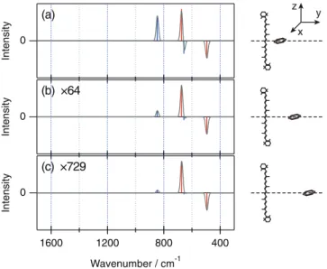 Figure 4 shows calculated HR spectral patterns of the enhanced solvent vibrations of benzene with a fixed