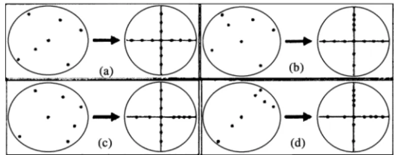 Fig. 1. Defect maps and projected x and y coordinates [4].