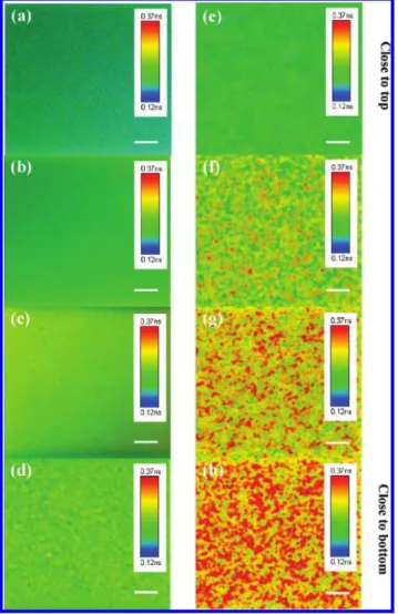 Figure 2. (a-d) Exciton lifetime images of the rapidly grown BHJ