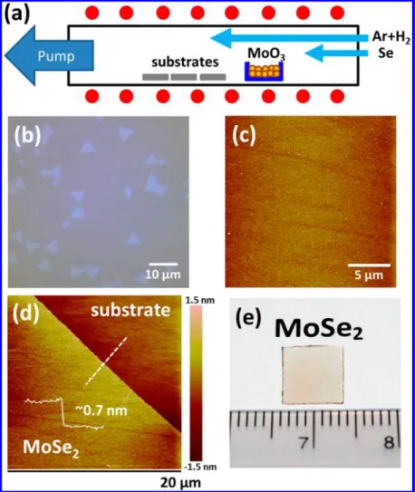 Figure 1. (a) Schematic illustration for the growth of MoSe 2 layers on sapphire substrates by the selenization of MoO 3