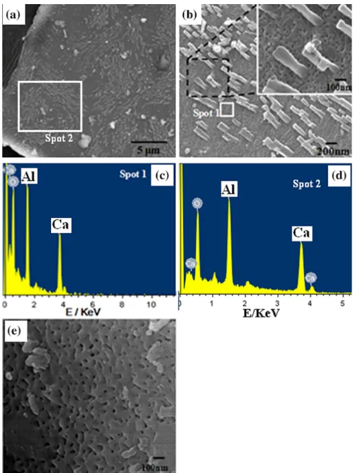 Fig. 3. SEM images of calcined M-CaAl samples, (a) at low magniﬁcation (2 K) and (b) high magniﬁcation (30 K), displaying nanorods grown on the surface of mesoporous oxide, (c) EDS from spot 1 in (b), (d) EDS from spot 2 in (a) and (e) SEM image of the M-2