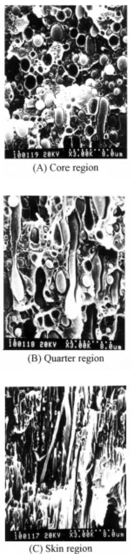 Fig. 6. SEM micrographs of the cryogenically fractured sur- sur-faces of the PAr/LCP = 80/20 blends, parallel to the flow  direc-tion of the injecdirec-tion-molded specimen and at different locadirec-tions.
