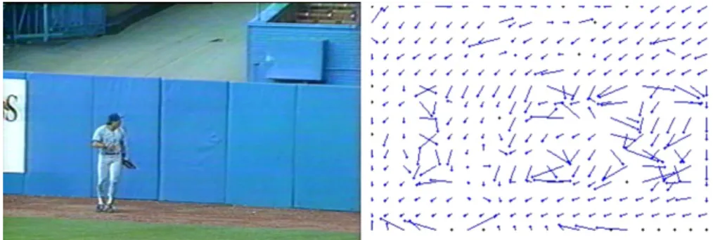 Fig. 1. A frame of a baseball game sequence and its corresponding motion vectors.