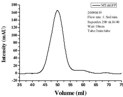 圖 22 利用 Gel filtration 來第二次純化 MTekGFP 蛋白 