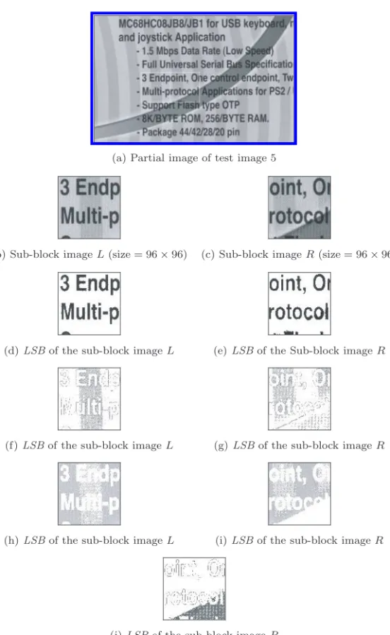 Fig. 1. Example of the results after the block-based clustering algorithm has been applied.