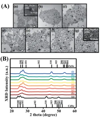 Fig. 1 shows the TEM images of the Cd 1x Zn x Se QDs at various reaction times. The size of the Cd 1x Zn x Se QDs increased in the rst half hour of the reaction, and then the size was maintained at approximately 15 nm until the reaction time reached 90 