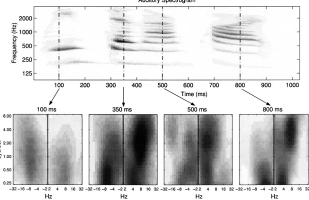 FIG. 7. The cortical multiresolution spectrotemporal representation of speech. The auditory spectrogram of the speech utterance /We’ve done our part/ spoken by a female speaker
