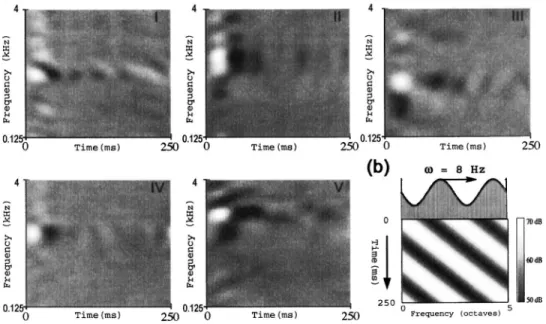 FIG. 1. Details of the dynamic ripple stimulus and examples of spectrotemporal response fields 共STRFs兲 in primary auditory cortex 共A1兲