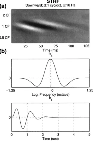 FIG. 5. A representative STRF and the seed functions of the spectrotempo- spectrotempo-ral multiresolution cortical processing model