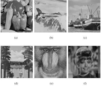 Fig. 3 Six 512 ⫻512 cover images Peppers, Jet, Boat, Lake, Ba- Ba-boon, and Zelda, which are utilized to cover the important image Lena.