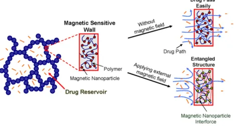Fig. 1. Schematic drawing of drug release from the magnetic-sensitive ferrosponges with and without applying external magnetic field.