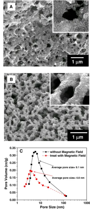 Fig. 4. SEM images of iron oxide nanoparticles structure of the sponges obtained by thermally removing gelatin matrix for the ferrosponges with original 5G –5F (A) and 15G –5F(B) compositions, and associated with the pore size distribution of the ferrospon