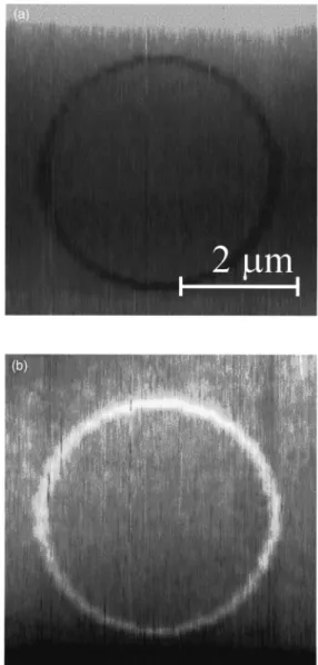 Table I shows the comparison of the oxide growth pa- pa-rameters (L c , t 0 , and R 0 兲 of silicon nitride and silicon 