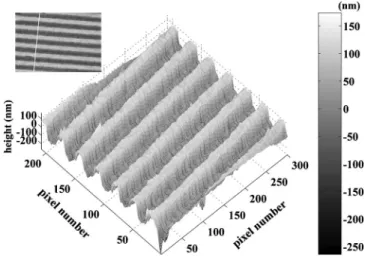 Fig. 5 The measured full-field roughness topography R 共x,y兲 in gray