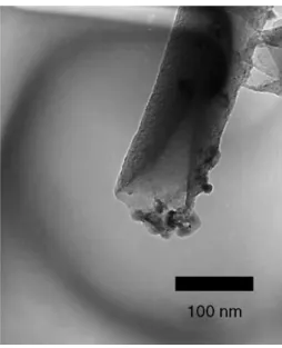 Fig. 3. SEM micrograph of the as-grown CNTs after post-treatments (H- (H-plasma etching and chemical etching) showing the open-ended structure.