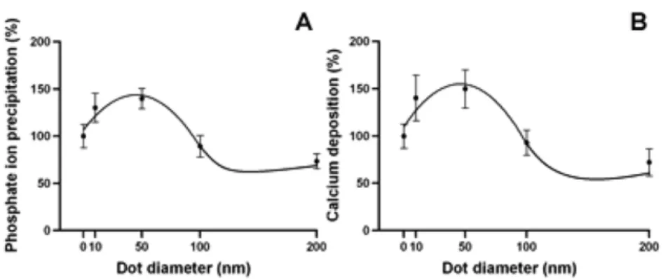 Figure 7. The correlation between the mineralization and the size of the nanodot arrays