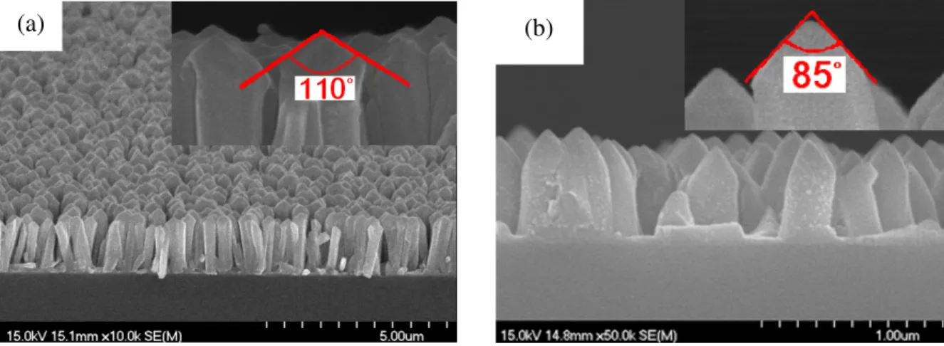 Figure 2. SEM image of (a) the ZnO nanorods after plasma etching and (b) the ZnO nanorods after two-step etching.
