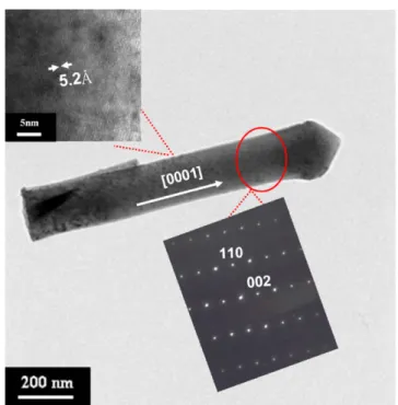 Figure 4. TEM image of the single ZnO nanorod after plasma