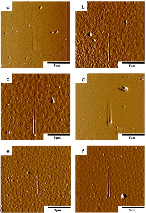 Fig. 3. AFM images combined with nanoscratch trace measurements for nanoscratched samples obtained using a ramp force at a depth of (a–c) 30 nm and (d–f) 150 nm