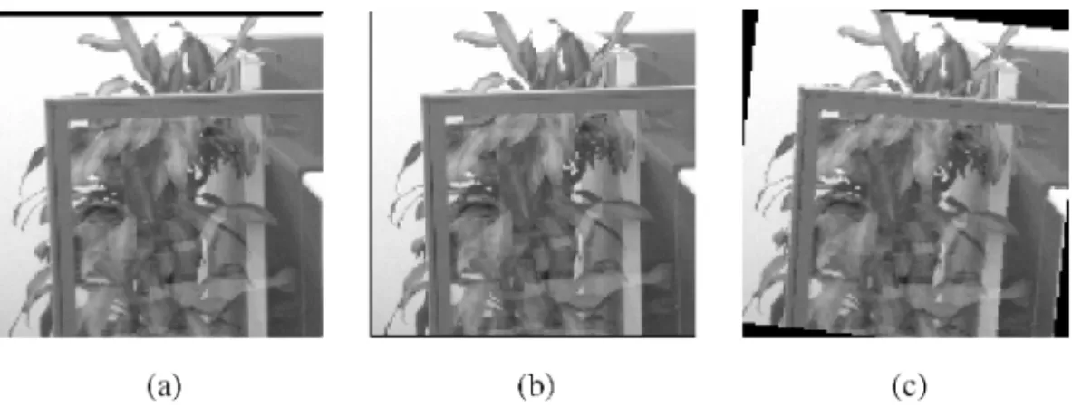 Fig. 8. Testing images. (a) Original image. (b) Image after translation, v = (− 3; 2)