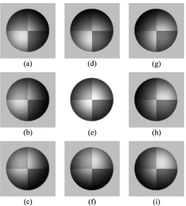 Fig. 3. 2-D sphere images generated with varying albedo and lighting directions (degree of tilt angle and pan angle)