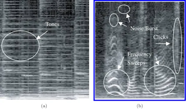 Fig. 4. Two examples to show some possible diﬀerent kinds of patterns in a spectrogram