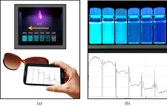 Figure 1. (a) Schematic representation of the smartphone fluorometer set–up, (b) Mobile phone image 