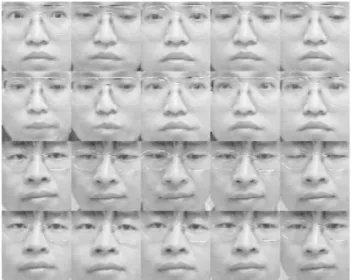 Fig. 2. Illustration of the pixel grouping process. N normalized face images are piled up and aligned into the same orientation