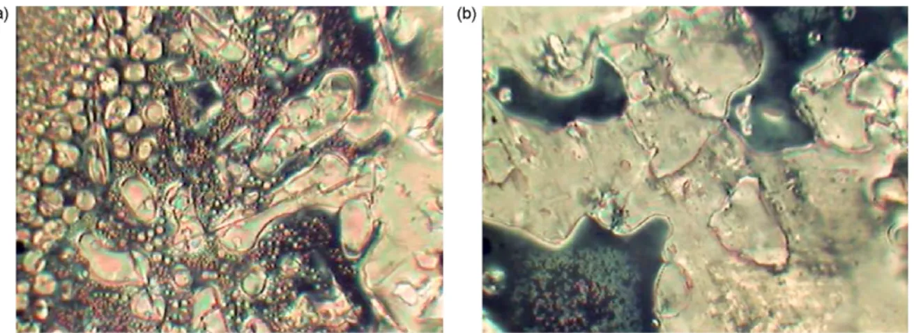 Fig. 1. Liquid crystal textures of 16-MHBABTH upon cooling. The small droplets (a) coalesced to form the marble texture of the nematic phase in (b).