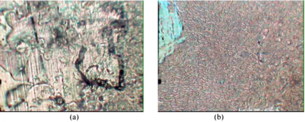 Fig. 2. Phase behaviour of C 2 H 5 O-nBSPEP.
