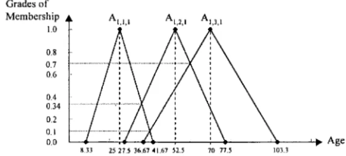 Fig. 9. The fuzzy sets of the input linguistic variable “Age.”