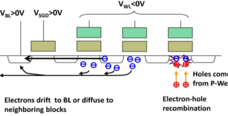 Fig. 7. Band diagram and carrier distribution in the proposed scheme. During