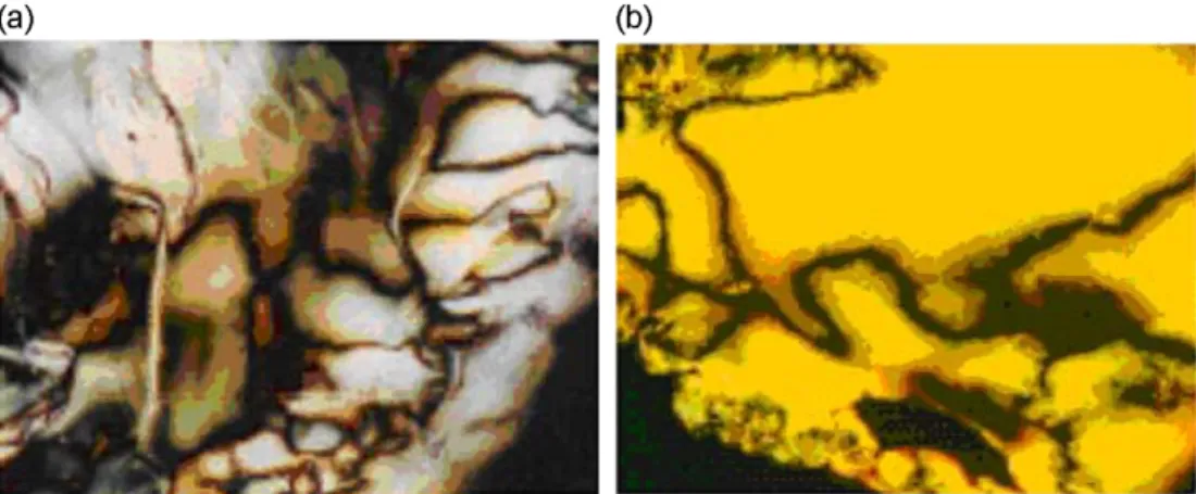 Fig. 1. Optical textures of (a) polymer P1 at 200 8C and (b) polymer P2 at 190 8C.