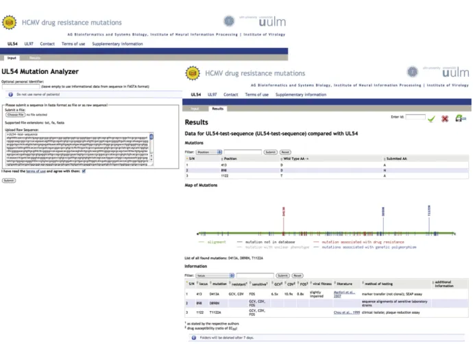 Fig. 3. Visualisation of the web-based search tool available at http://www.informatik.uni-ulm.de/ni/mitarbeiter/HKestler/hcmv .