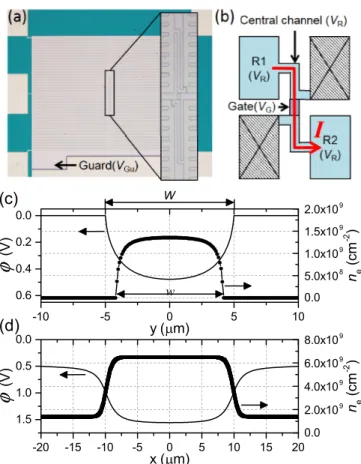 FIG. 1. (a) An image of a device identical to the one used in the experiments, taken by an optical microscope