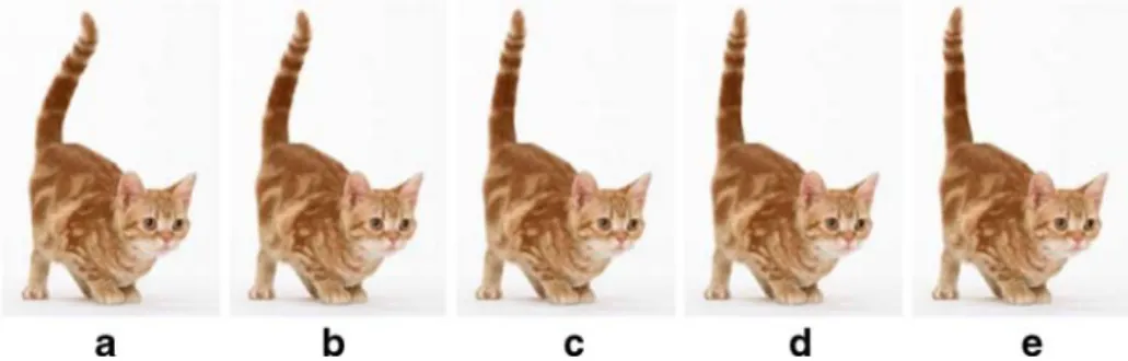 Fig. 11 Body movements synthesis. a e Two key-poses of the cat. b c d The synthesized results