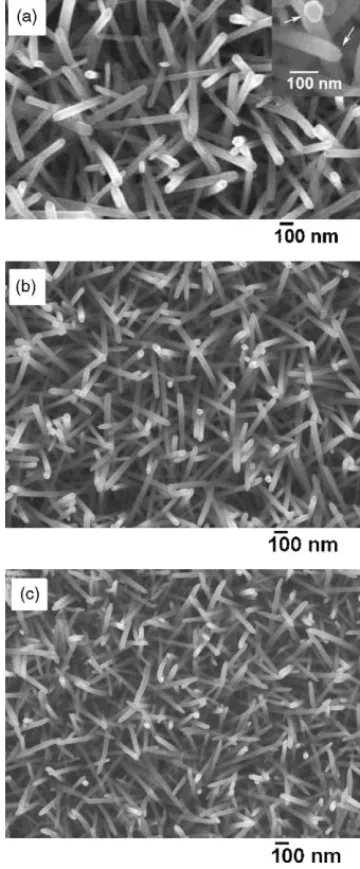 Fig. 2. Absorption spectrum and TEM image (inset) of CATOH-capped ZnO nanoparticles.
